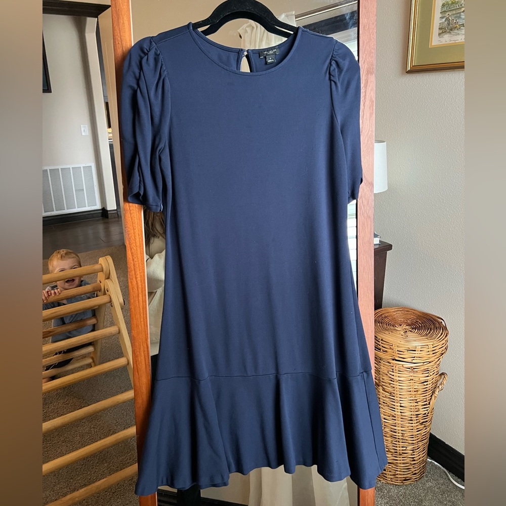 Ann Taylor drop waist dress